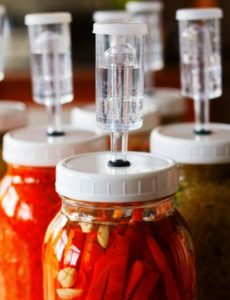 Barboteur à fermentation