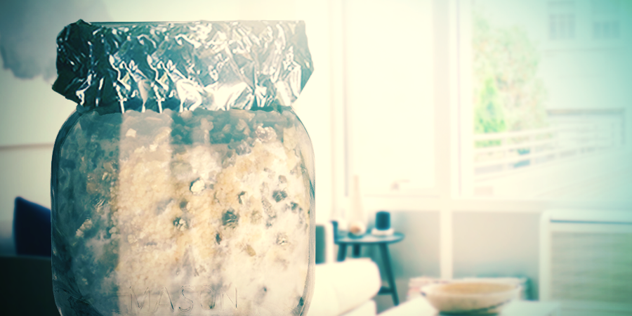 Apparition Des Têtes D’épingle