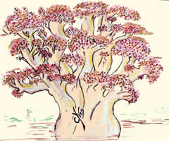 champignons à réceptacle en rameaux, touffes : Ramaria botrytis