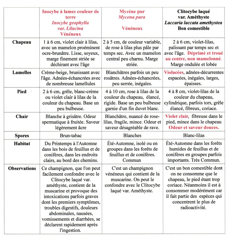 img20170404_17510111