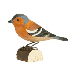 Pinson des arbres (bois)