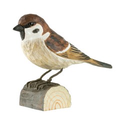Moineau friquet (bois)