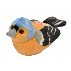 Pinson des arbres (avec son)