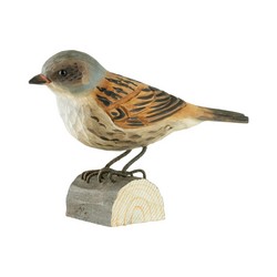 Accenteur mouchet (bois)