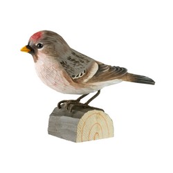 Sizerin flammé (bois)