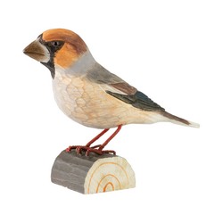 Gros-bec casse-noyaux (bois)