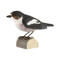 Gobemouche noir (bois)