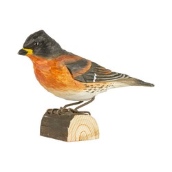 Pinson du Nord (bois)