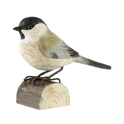 Mésange nonnette (bois)