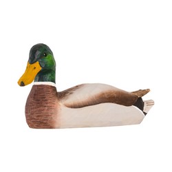 Canard colvert - mâle (bois)