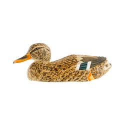 Canard colvert - femelle (bois)