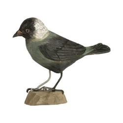 Choucas des tours (bois)