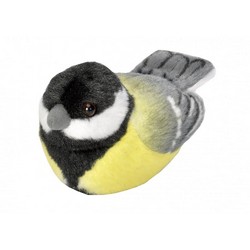 Mésange charbonnière (avec son)