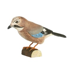 Geai des chênes (bois)