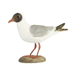Mouette rieuse (bois)