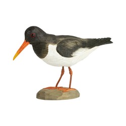 Huîtrier pie (bois)