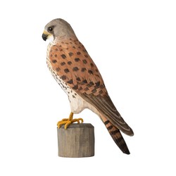 Faucon crécerelle (bois)