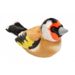 Chardonneret élégant (avec son)