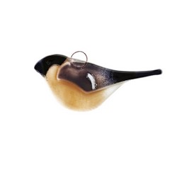 Bouvreuil pivoine (verre)