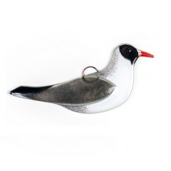 Mouette rieuse (verre)