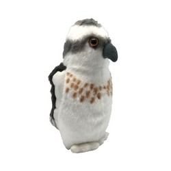 Balbuzard pêcheur (avec son)