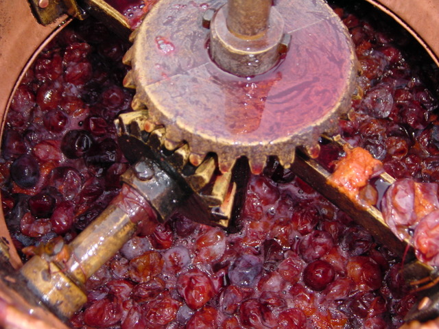 Fabrication de rakia - Prunes avant fermentation