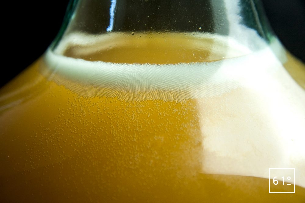 Comment faire de l'alcool maison - ÃƒÂ§a fermente